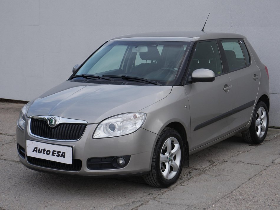 Škoda Fabia II 1.2 12V 